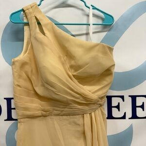 Elegant champagne Dress